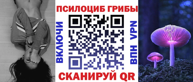 где купить наркоту  Щёлкино  Галлюциногенные грибы Cubensis 